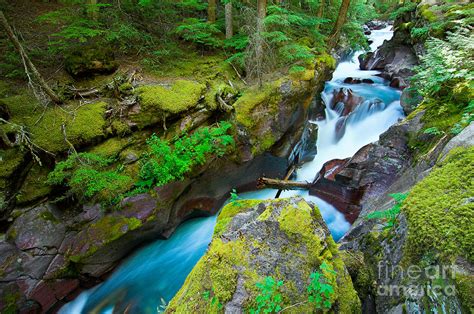 Avalanche Creek Gorge Photograph By Joe Mamer Fine Art America