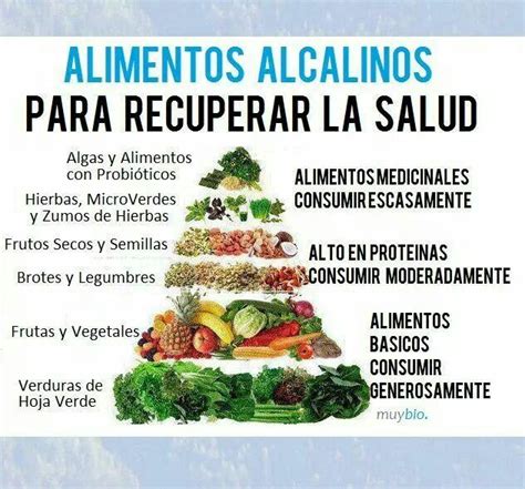 Pirámide Alcalina Alimentos Alcalinos Dieta Alcalina Beneficios De