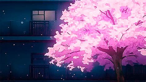 Asriel20asi — Sakura~ Anime Scenery Aesthetic Backgrounds Sakura