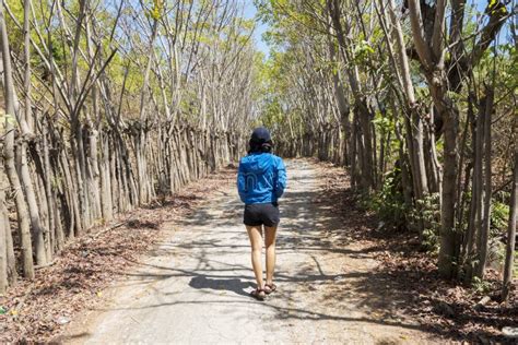 La Mujer Joven Sola Camina En El Bosque Tropical Foto De Archivo
