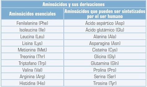 Tabla De Aminoácidos Funciones Tipos Y Características Aminoacido