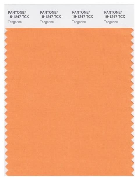 Pantone Smart 15 1247 Tcx Color Swatch Card Tangerine In 2022