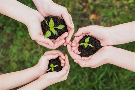 4 Reasons Why All Businesses Should Embrace Sustainability