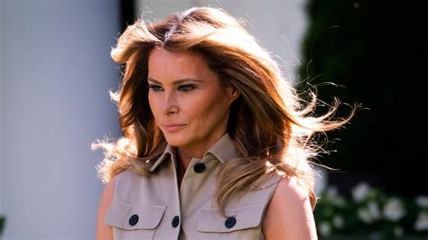 Melania Trump S Prenuptial Agreement Detailed In New Book The New