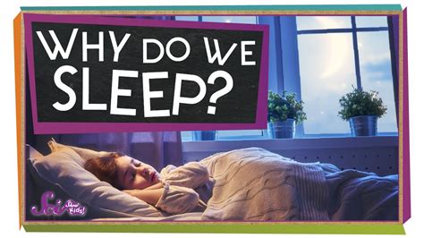 Why Do We Need Sleep Kids Greens