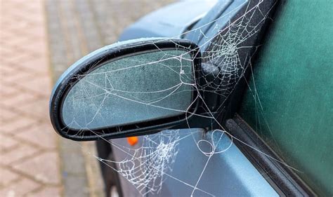 Driving Fine Motorists Could Face £2500 Fines As Spiders Likely To