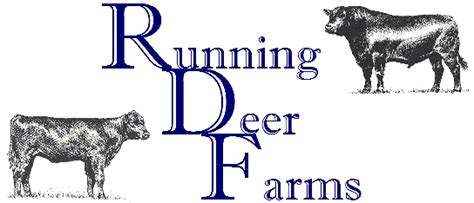 Running Deer Farms Livestock Judging Score Calculator