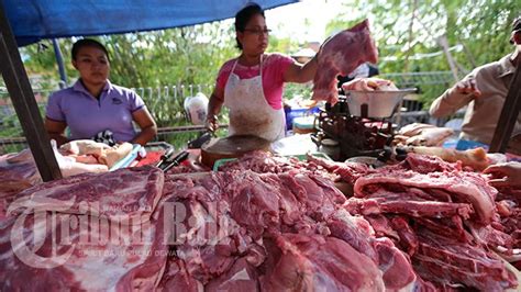 Dapatkan diskon daging kambing hanya di bukalapak. Peternak Babi Di Denpasar Turunkan Harga Sejak Ada Isu ...
