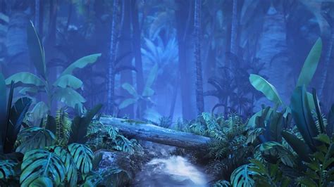 Night Tropical Jungle With Brook Stock Motion Graphics Motion Array
