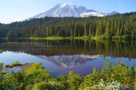 Lake Forest Mountain Landscape Reflection Wallpaper