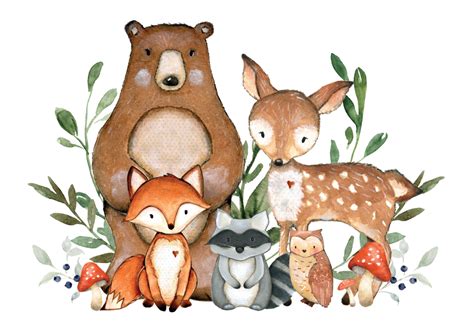 Transparent Woodland Animals Png