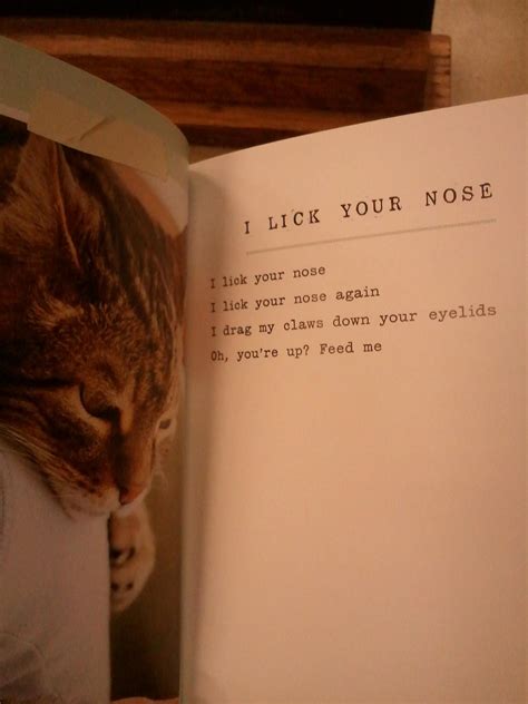 I Could Pee On This And Other Poems From Cats 9 Pics