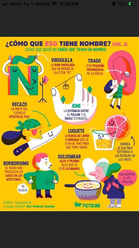 Spanish Infographics By Pictoline Artofit