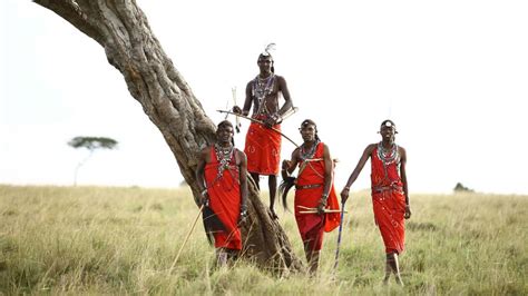 Maasai Mara Volunteering Wildlife Conservation Volunteer Encounter
