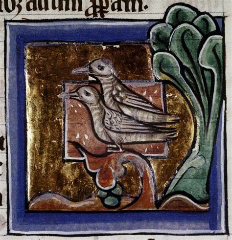 It publicises all aspects of the library's this 'heraldic bestiary' explains what the behaviours and appearances of animals on coats of arms indicate about the origins of specific families. Medieval Bestiary : Turtledove Gallery | Medieval art, Animal drawings, Medieval manuscript