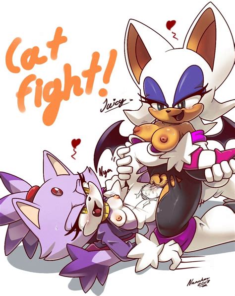 1035636 Blaze The Cat Nancher Rouge The Bat Sonic Team