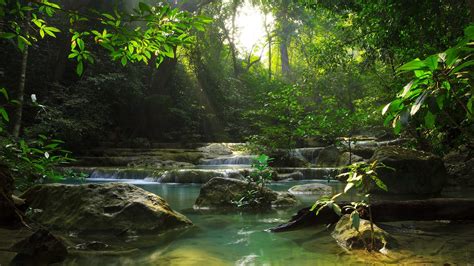 922316 Nature Phraya Nakhon Cave Sunlight Shards Plants Thailand