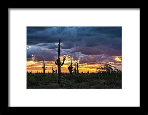 Desert Beauty At Sunset Framed Print By Saija Lehtonen Framed Prints
