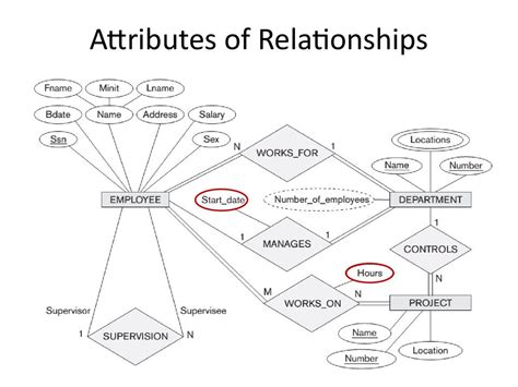 Analysis And Design Of Data Systems Entity Relationship Model