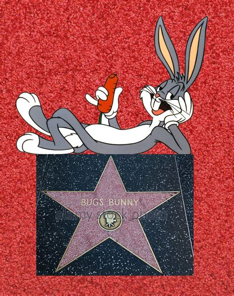 bugs bunny walt disney cartoons disney cartoon characters bugs bunny walk of fame looney