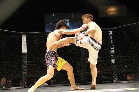 Free Images Ring Football Japan Cage Strike Punch Mixed Martial