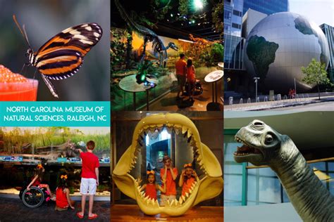 Mom Abroad How To Save At Museums Zoos And Aquariums With Reciprocal