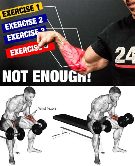 💪stop Training Forearms Forearm Workout Core Workout Routine Exercise
