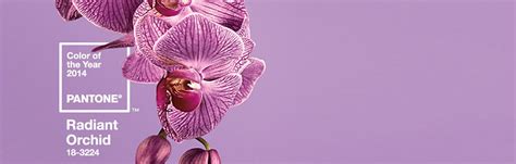 Pantone Color Of The Year 2014 Radiant Orchid