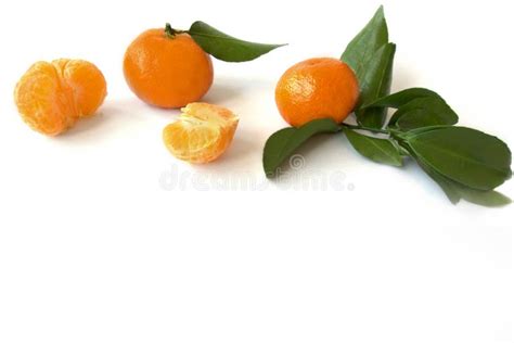 Orange Tangerines With Green Leaves Isolated On A White Background