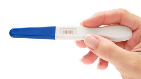 Pregnancy Quiz How Much Do You Know In This Pregnancy Test Bbc