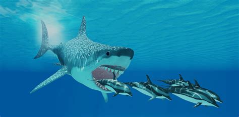 Giant Monster Megalodon Sharks Lurking In Our Oceans Be Serious
