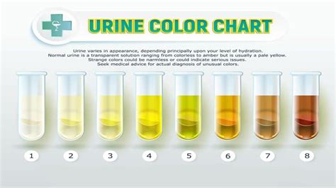 What The Color Of Your Urine Says About Your Healththat You Dont Know