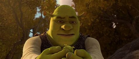 Shrek Forever After 2010 Brrip 420p 300mb Dual Audio Free Download