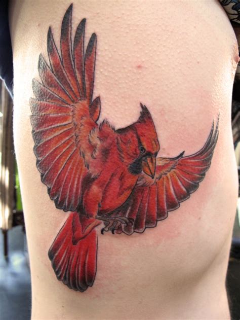 Bird Drawing Outline Cardinal Tattoos Designs Ideas And Meaning