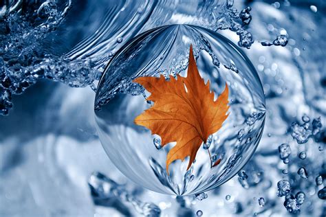 Leaf Water Wallpaper