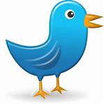 Icon Bird Pixabay Web Tweet Network Speech