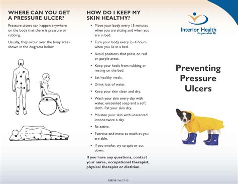 Stop The Pressure Information Sheet Pressure Ulcer Wounds Nursing
