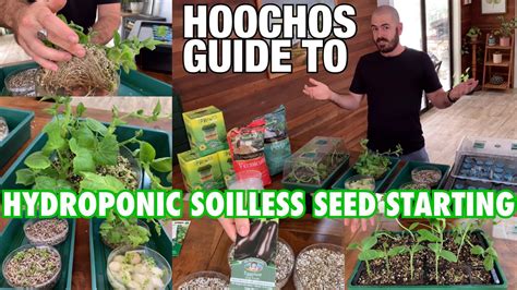 Beginners Guide To Hydroponic Soilless Seed Starting Youtube