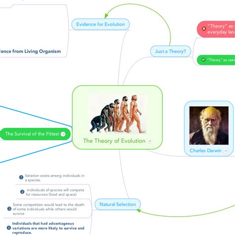 The Theory Of Evolution Charles Darwin Natural Selection Theory Of