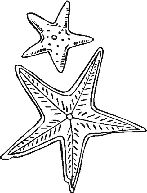 Imagen Zone Dibujos Para Colorear Animales Estrellas De Mar