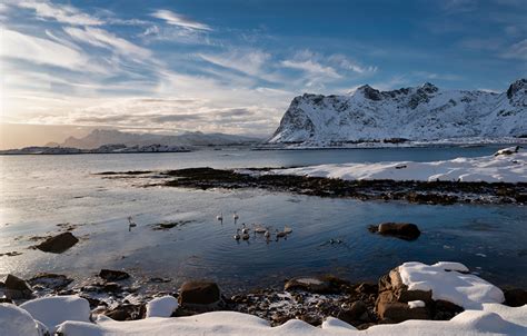 Fonds Decran Norvège Montagnes Îles Lofoten Côte Oies Neige Nature
