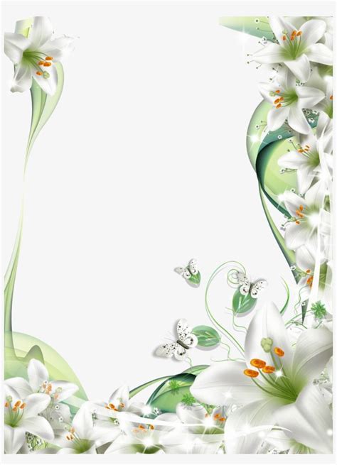 White Flowers With Green Leaves And Butterflies In The Corner On A