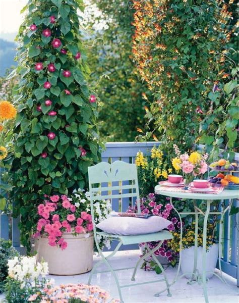 Love The Morning Glories In A Container And How The Container Planting