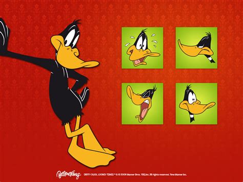 Daffy Duck Wallpaper Looney Tunes Wallpaper 5226646 Fanpop