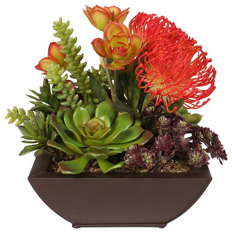 Contemporary Tropical Succulent Arrangement In A Metal Container
