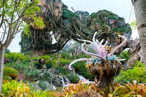 Pandora World Of Avatar Tips At Animal Kingdom