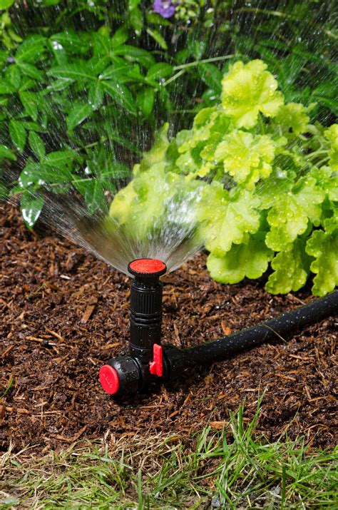 Above Ground Irrigation Systems For Landscaping Diy Sprinkler System