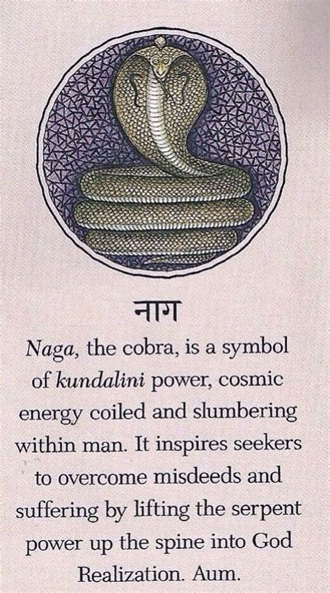 Cobra Symbolism Kundalini Kundalini Yoga Spirituality