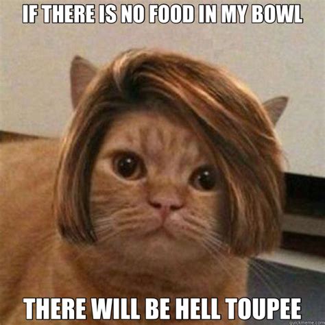 If There Is No Food In My Bowl There Will Be Hell Toupee