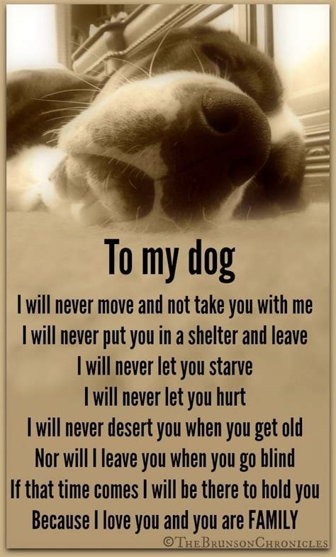 I Love My Dog Quotes